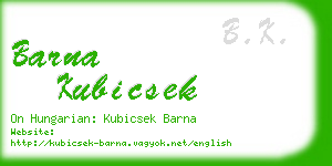 barna kubicsek business card